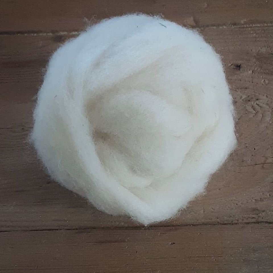 Wool Roving ~ Perendale lambs' wool